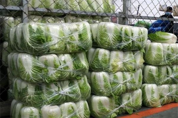 重慶主城區(qū)蔬菜配送