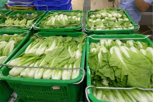 蔬菜配送 蔬菜配送